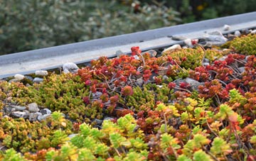 the cost of Stenness green roof installation