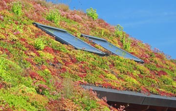 Stenness living roof systems