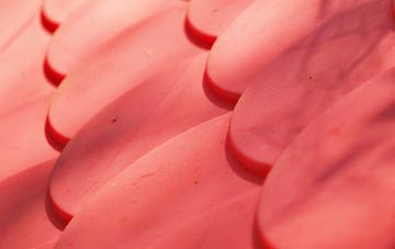 Stenness plastic roof costs